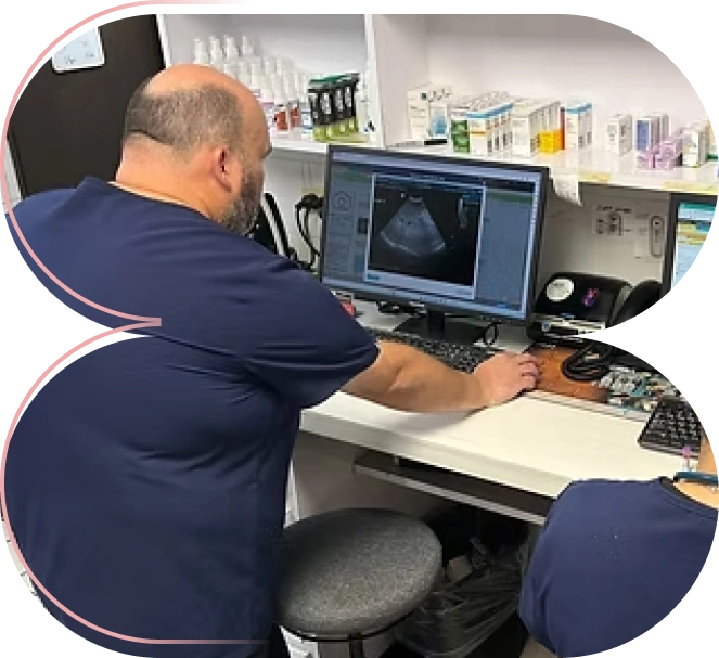 Ultrasonido Veterinario