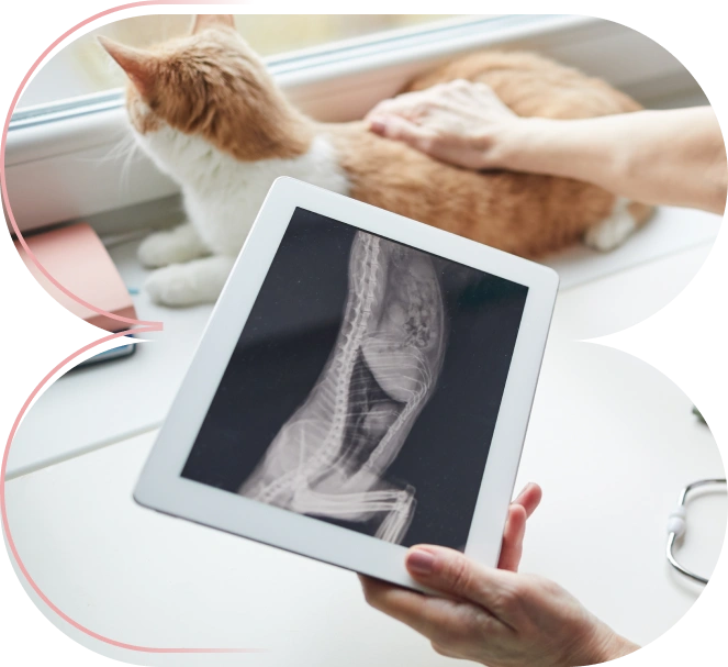 Radiología Veterinaria